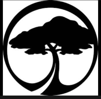 "Our Commitment to Reforestation: Planting a Tree with Every Order".