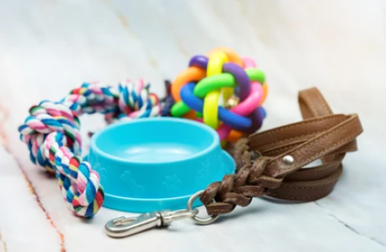 Unique Gifts for Pet Lovers: Delightful Surprises for Furry Friends.