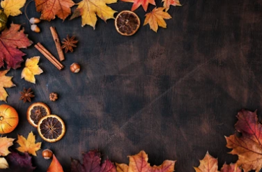 Thanksgiving Delights: Gratitude and Gifting at TageUnlimited.shop. - TageUnlimited Beauty