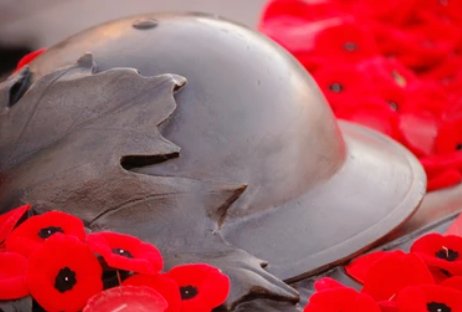 Honoring the Heroes: The Significance of November 11th. - TageUnlimited Beauty