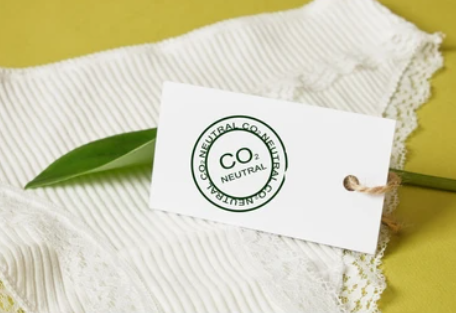 Embracing Sustainability: Ethical and Conscious Choices in Lingerie.