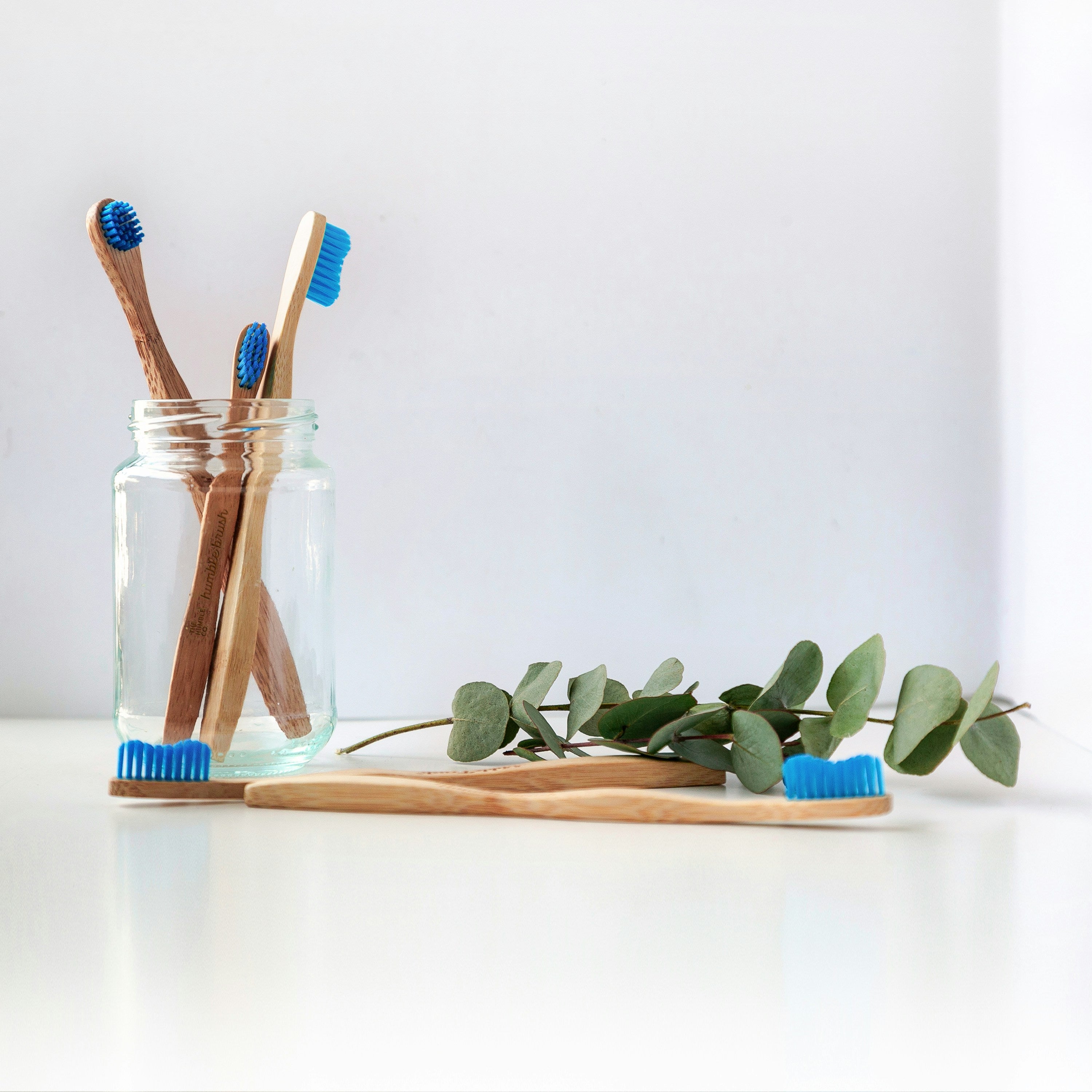 Embrace Eco-Friendly Living: Sustainable Products You Need in Your Home.
