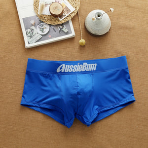 Men's Brand Underwear Milk Silk Comfortable Sports Boxer Briefs Dropshipping New Arrival Fashion Underpants Slip For Male | TageUnlimited