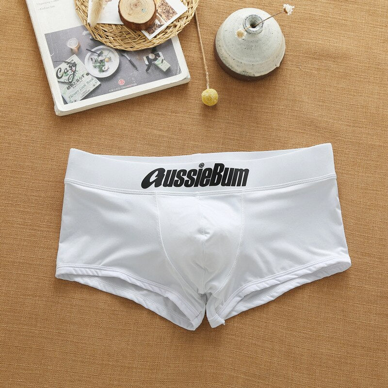 Men's Brand Underwear Milk Silk Comfortable Sports Boxer Briefs Dropshipping New Arrival Fashion Underpants Slip For Male | TageUnlimited