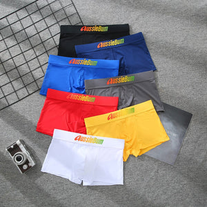 Men's Brand Underwear Milk Silk Comfortable Sports Boxer Briefs Dropshipping New Arrival Fashion Underpants Slip For Male | TageUnlimited