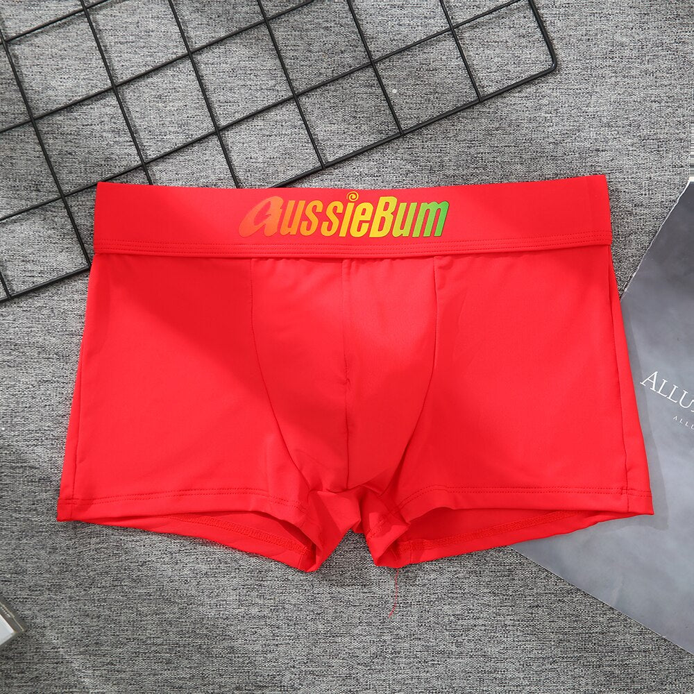 Men's Brand Underwear Milk Silk Comfortable Sports Boxer Briefs Dropshipping New Arrival Fashion Underpants Slip For Male | TageUnlimited