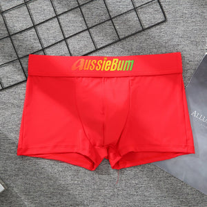 Men's Brand Underwear Milk Silk Comfortable Sports Boxer Briefs Dropshipping New Arrival Fashion Underpants Slip For Male | TageUnlimited