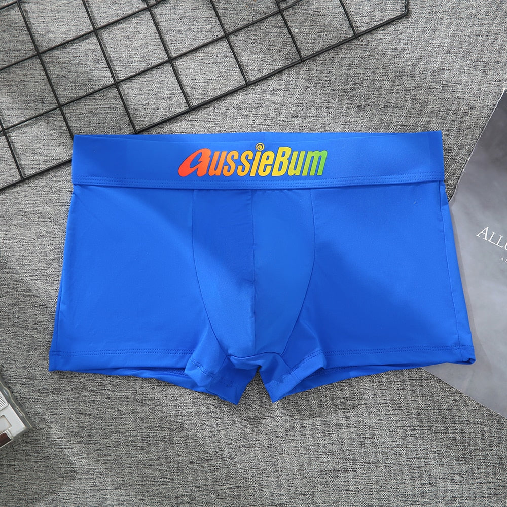 Men's Brand Underwear Milk Silk Comfortable Sports Boxer Briefs Dropshipping New Arrival Fashion Underpants Slip For Male | TageUnlimited