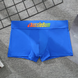 Men's Brand Underwear Milk Silk Comfortable Sports Boxer Briefs Dropshipping New Arrival Fashion Underpants Slip For Male | TageUnlimited