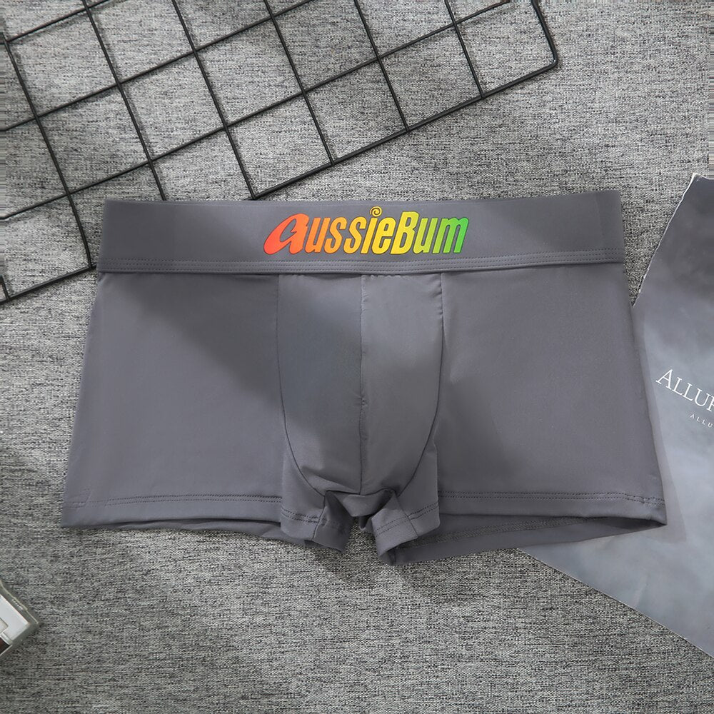 Men's Brand Underwear Milk Silk Comfortable Sports Boxer Briefs Dropshipping New Arrival Fashion Underpants Slip For Male | TageUnlimited