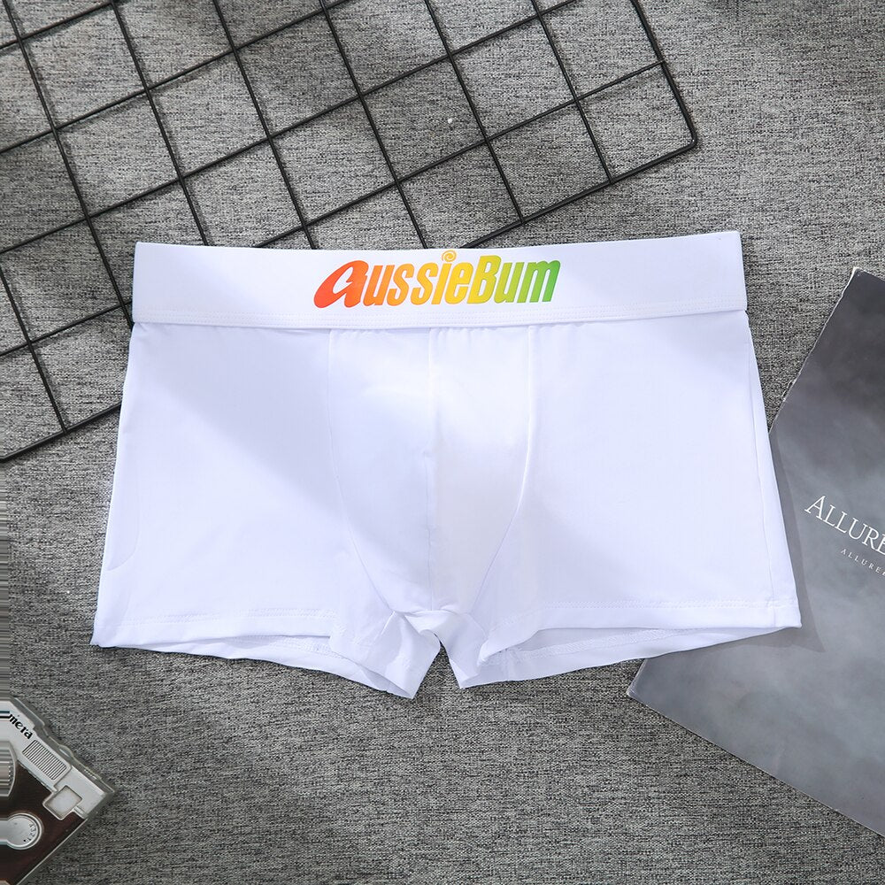 Men's Brand Underwear Milk Silk Comfortable Sports Boxer Briefs Dropshipping New Arrival Fashion Underpants Slip For Male | TageUnlimited