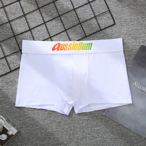 Men's Brand Underwear Milk Silk Comfortable Sports Boxer Briefs Dropshipping New Arrival Fashion Underpants Slip For Male | TageUnlimited