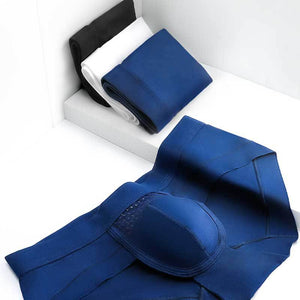Men Modal Underwear Mid Waist Sexy Ice Wire Mesh Hollow Briefs Solid Color Double Layer Boxer | TageUnlimited