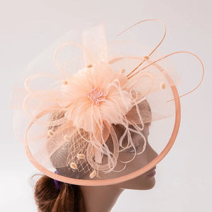 Fascinators for Women Elegant Headwear Kentucky Derby Hat Fashion Feather Headpiece Mesh Veil Hairbands Chic Ladies Wedding Hats