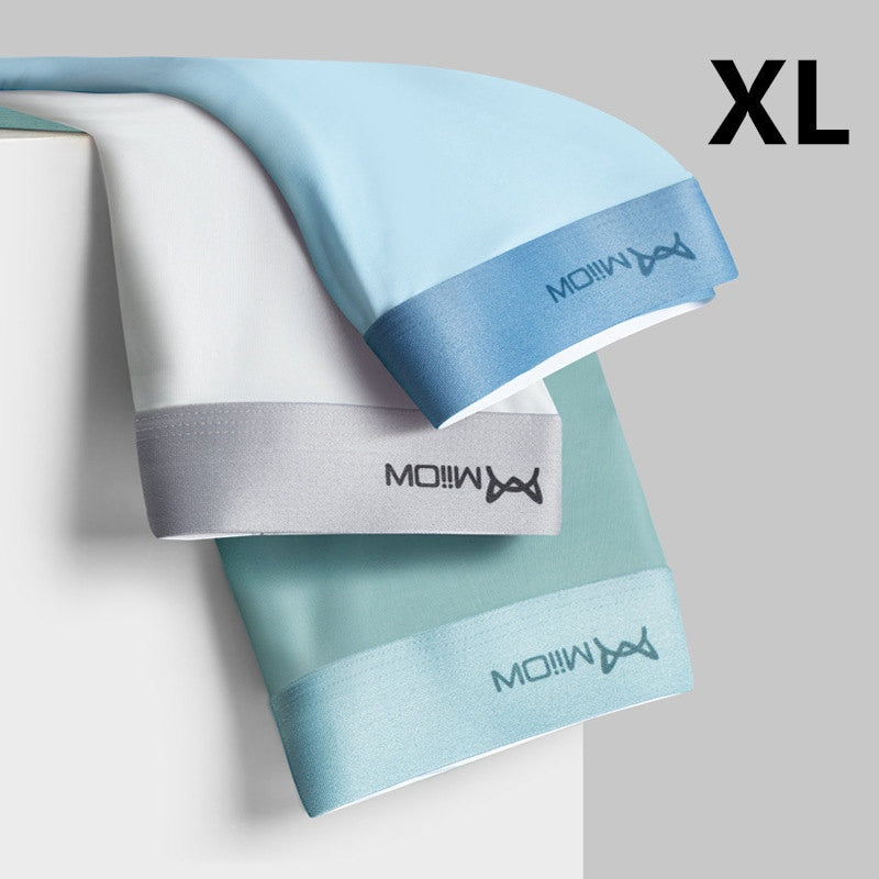 High Quality 3pcs/set Graphene Men Underwear Panty Man Boxer Shorts AAA Antibacterial Ice Silk Panties Men&#39;s Breather Underpants | TageUnlimited