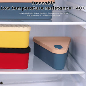 Reusable Silicone Pizza Pack Box Triangular Pizza Storage Container Sandwich Dessert Cake Microwave Lunch Box Kids Bento Box | 0 | TageUnlimited