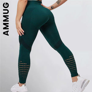 Women Seamless New Tights High Waist Women Leggings Large Size Sporty Yoga Leggings Gym Scrunch Yoga Pants Women Female | TageUnlimited