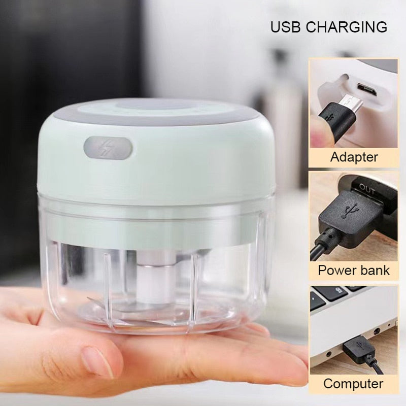 Mini Electric Garlic Grinder Chili Vegetable Chopper 100/250ML Wireless Portable Mixer Machine Crusher Kitchen Blender | TageUnlimited