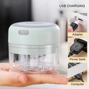 Mini Electric Garlic Grinder Chili Vegetable Chopper 100/250ML Wireless Portable Mixer Machine Crusher Kitchen Blender | TageUnlimited