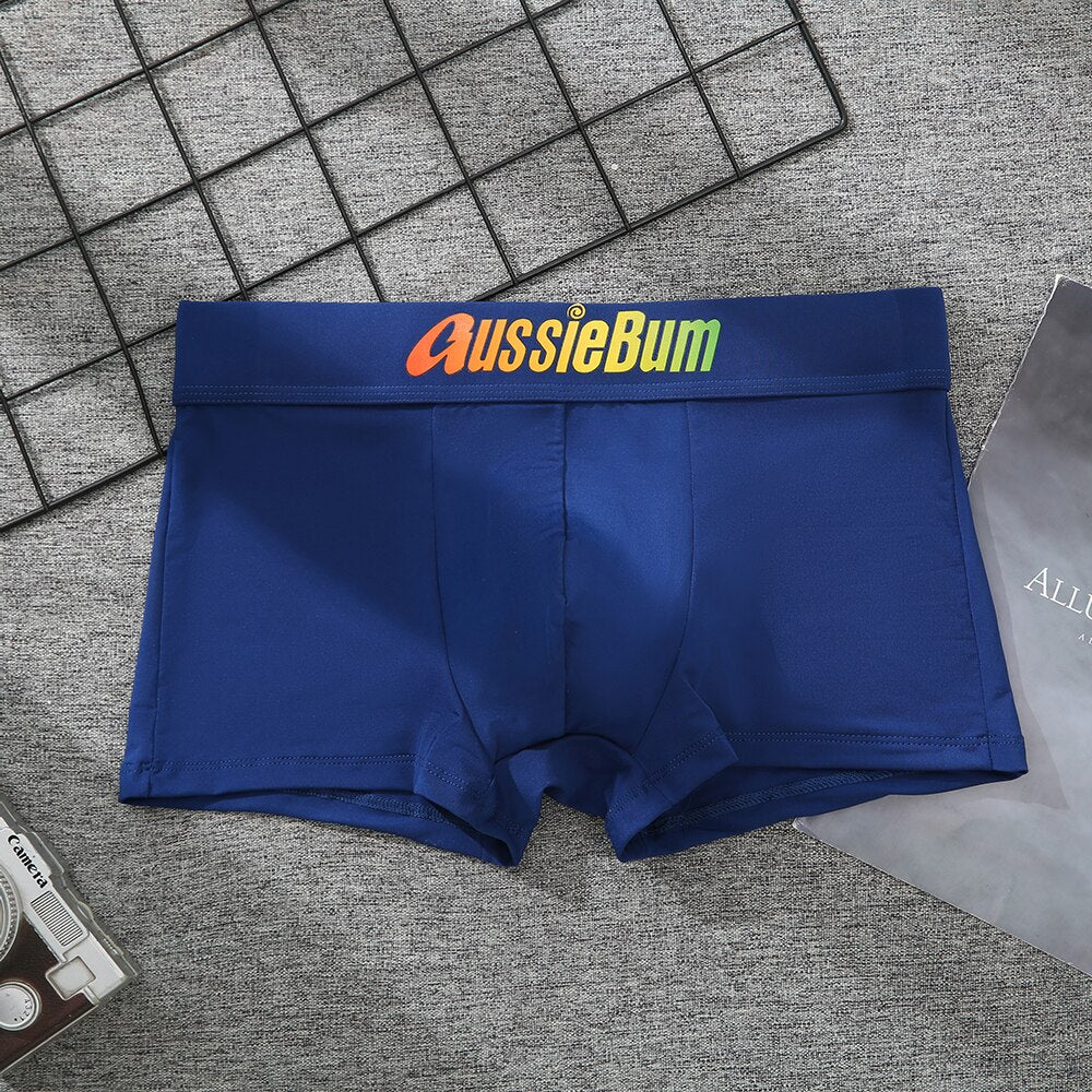 Men's Brand Underwear Milk Silk Comfortable Sports Boxer Briefs Dropshipping New Arrival Fashion Underpants Slip For Male | TageUnlimited