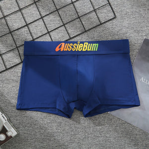 Men's Brand Underwear Milk Silk Comfortable Sports Boxer Briefs Dropshipping New Arrival Fashion Underpants Slip For Male | TageUnlimited