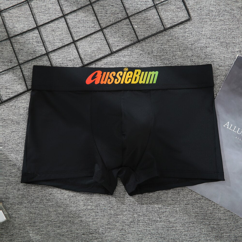 Men's Brand Underwear Milk Silk Comfortable Sports Boxer Briefs Dropshipping New Arrival Fashion Underpants Slip For Male | TageUnlimited
