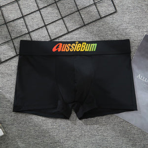 Men's Brand Underwear Milk Silk Comfortable Sports Boxer Briefs Dropshipping New Arrival Fashion Underpants Slip For Male | TageUnlimited