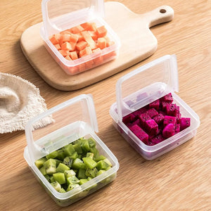 1PCS Butter Cheese Storage Box Portable Refrigerator Fruit Vegetable Fresh-keeping Organizer Box Transparent Cheese Container | TageUnlimited