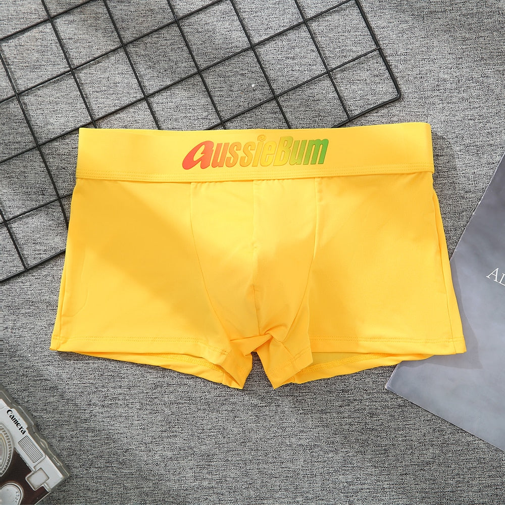 Men's Brand Underwear Milk Silk Comfortable Sports Boxer Briefs Dropshipping New Arrival Fashion Underpants Slip For Male | TageUnlimited