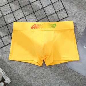 Men's Brand Underwear Milk Silk Comfortable Sports Boxer Briefs Dropshipping New Arrival Fashion Underpants Slip For Male | TageUnlimited