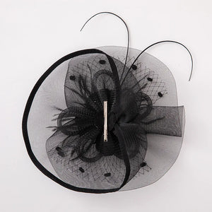 Fascinators for Women Elegant Headwear Kentucky Derby Hat Fashion Feather Headpiece Mesh Veil Hairbands Chic Ladies Wedding Hats