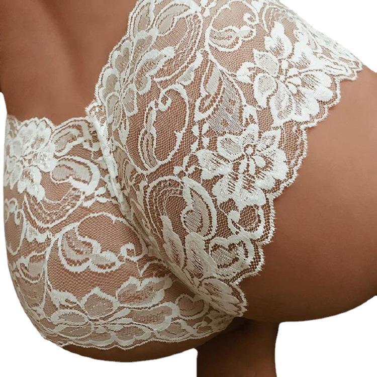Women Lace Panties Briefs Floral Transparent High Rise Knickers Sexy Brief Underwear For Sex Ladies Brief Erotic Lingerie | TageUnlimited