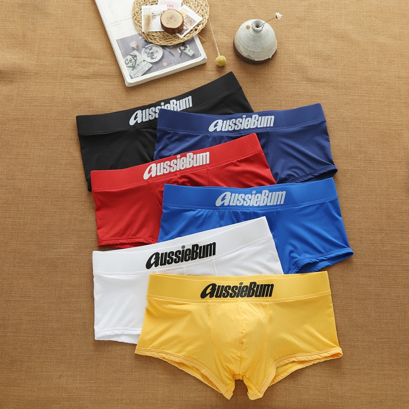 Men's Brand Underwear Milk Silk Comfortable Sports Boxer Briefs Dropshipping New Arrival Fashion Underpants Slip For Male | TageUnlimited