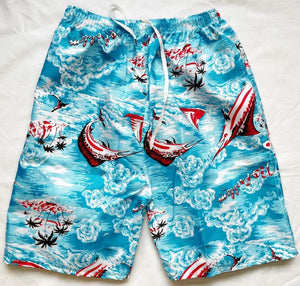 Summer Casual Shorts Men Printed Beach Shorts Quick Dry Board Shorts Pants Swimwear Beach Swimming Trunks | TageUnlimited