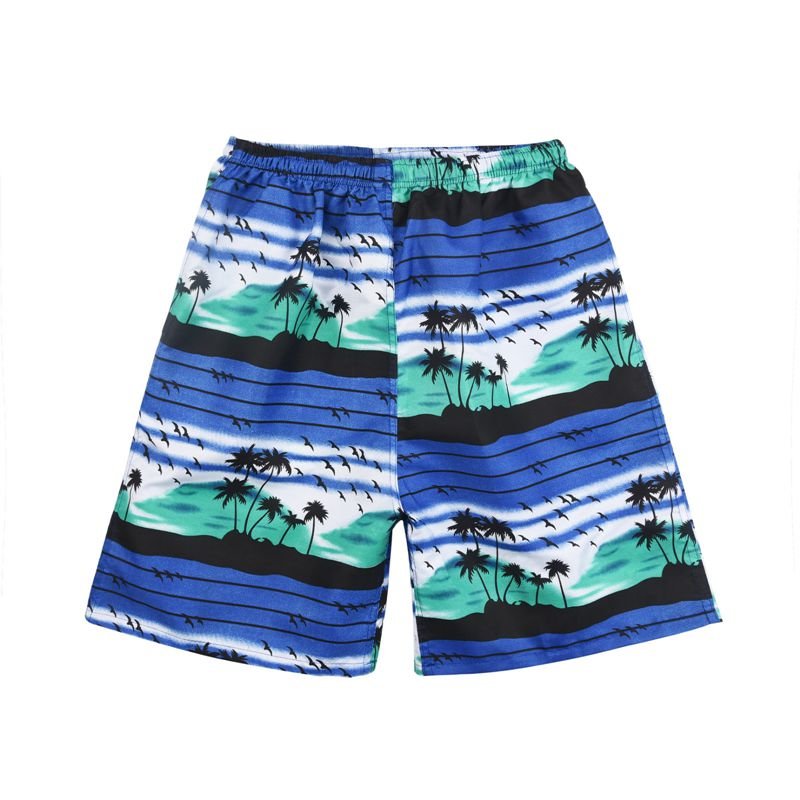 Summer Casual Shorts Men Printed Beach Shorts Quick Dry Board Shorts Pants Swimwear Beach Swimming Trunks | TageUnlimited